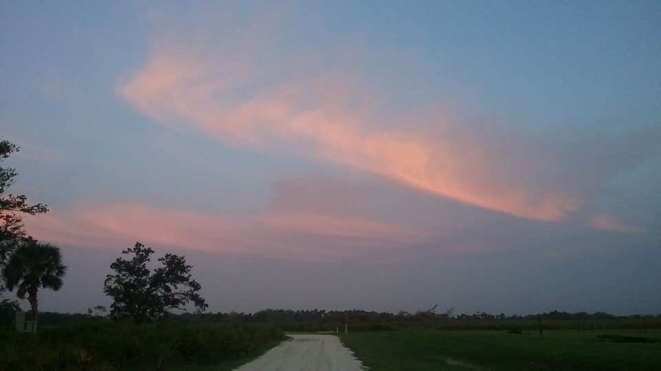 Camper submitted image from Kilpatrick Hammock Campground — Kissimmee Prairie Preserve State Park - 3
