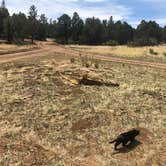 Review photo of Walnut Canyon Rd Dispersed Camping - CLOSED UNTIL 2025 by Ralph L., May 7, 2022