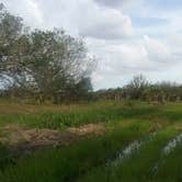 Review photo of Kilpatrick Hammock Campground — Kissimmee Prairie Preserve State Park by Kasey K., July 13, 2018