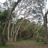 Review photo of Kilpatrick Hammock Campground — Kissimmee Prairie Preserve State Park by Kasey K., July 13, 2018