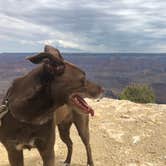 Review photo of Mather Campground — Grand Canyon National Park by Sarah M., July 13, 2018