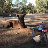 Review photo of Mather Campground — Grand Canyon National Park by Sarah M., July 13, 2018