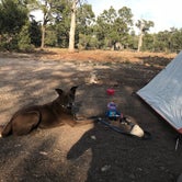 Review photo of Mather Campground — Grand Canyon National Park by Sarah M., July 13, 2018
