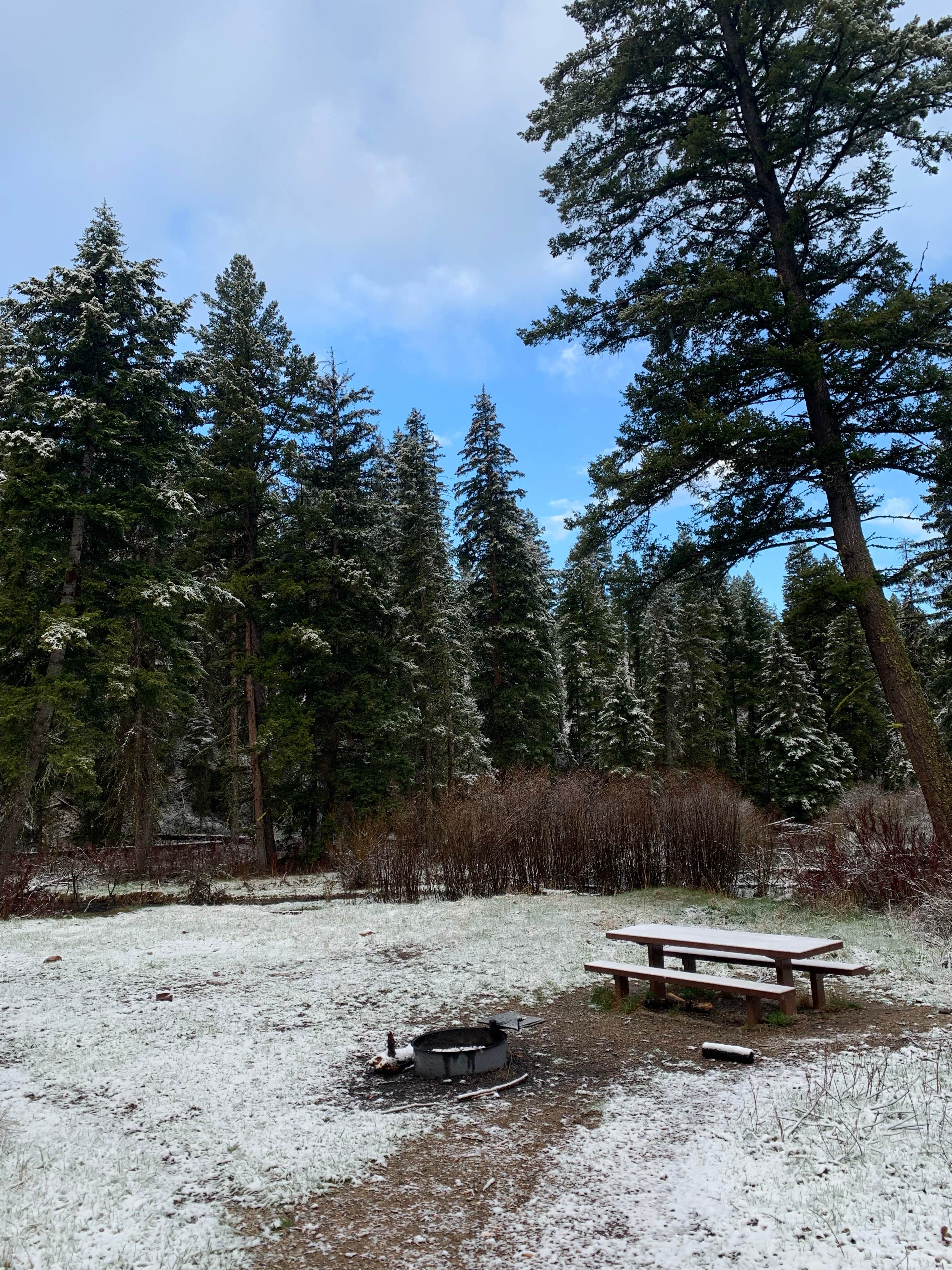 Camper submitted image from Flint Creek Campground - 3