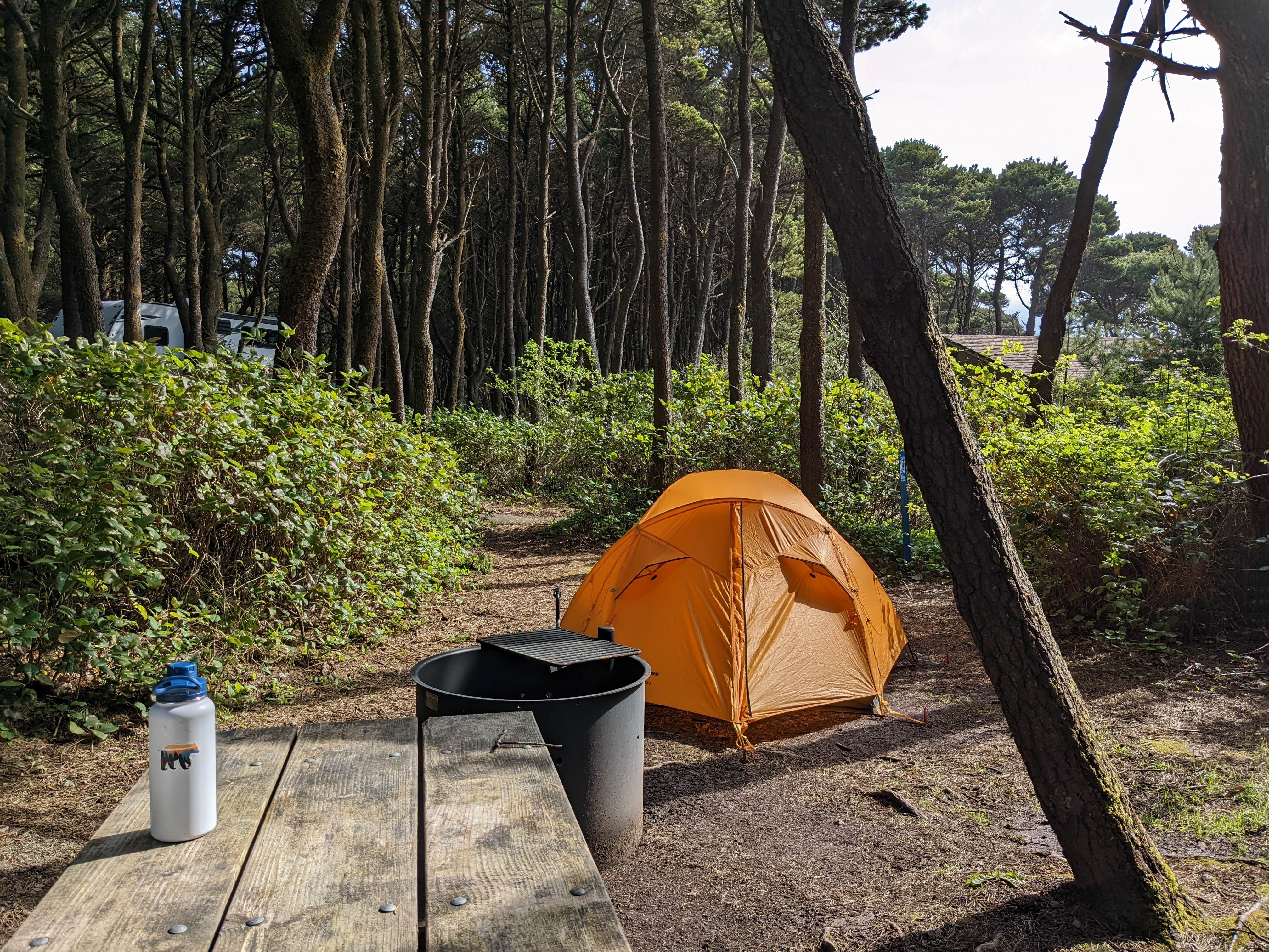 Becbecandbunny O.'s photo at Tillicum Beach Campground near Newport, OR