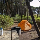 Review photo of Tillicum Beach Campground by Becbecandbunny O., May 8, 2022