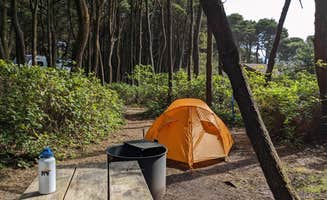 Becbecandbunny O.'s photo at Tillicum Beach Campground near Yachats, OR