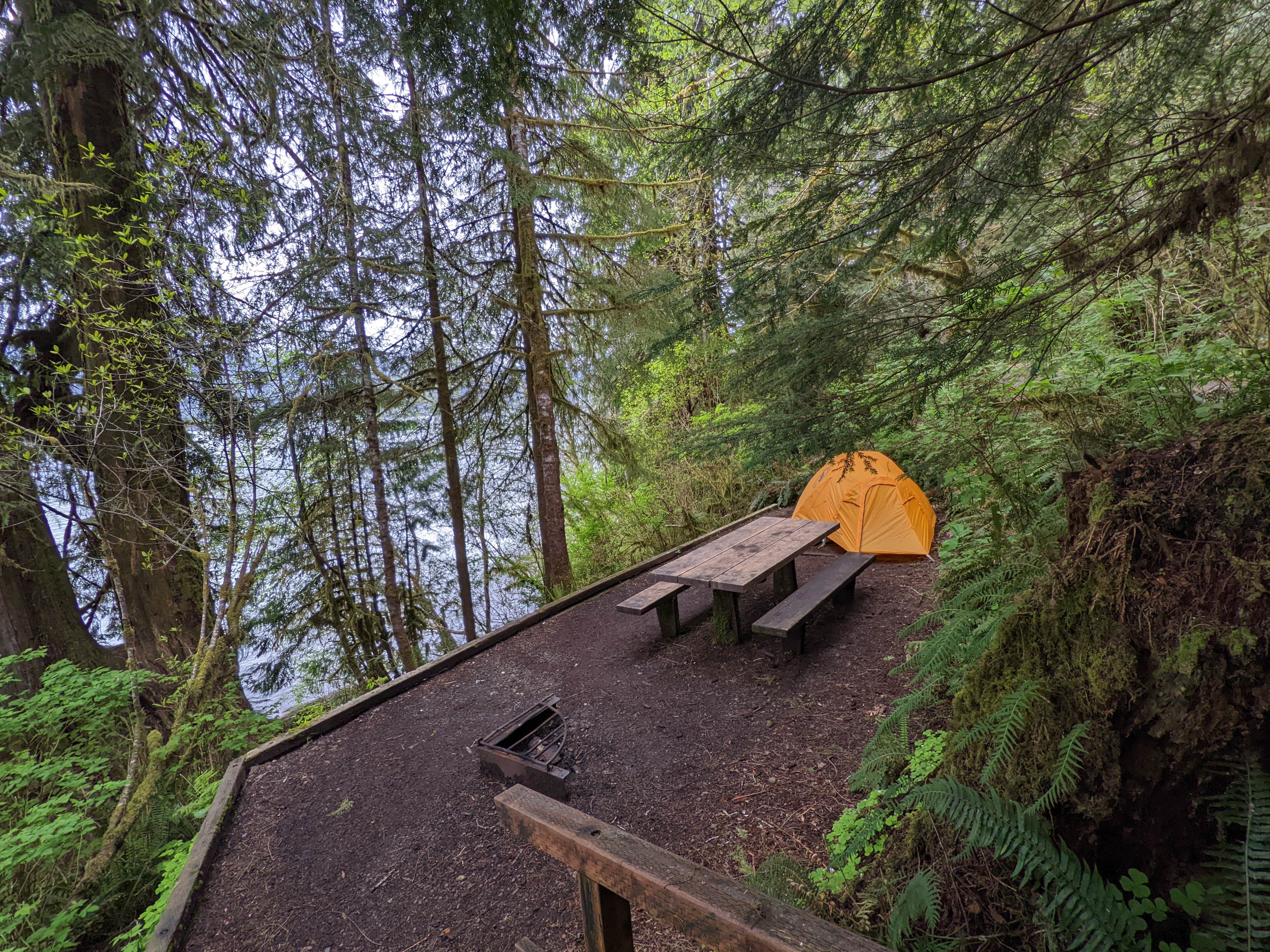 Becbecandbunny O.'s photo of tent camping at Willaby Campground near Olympic National Forest