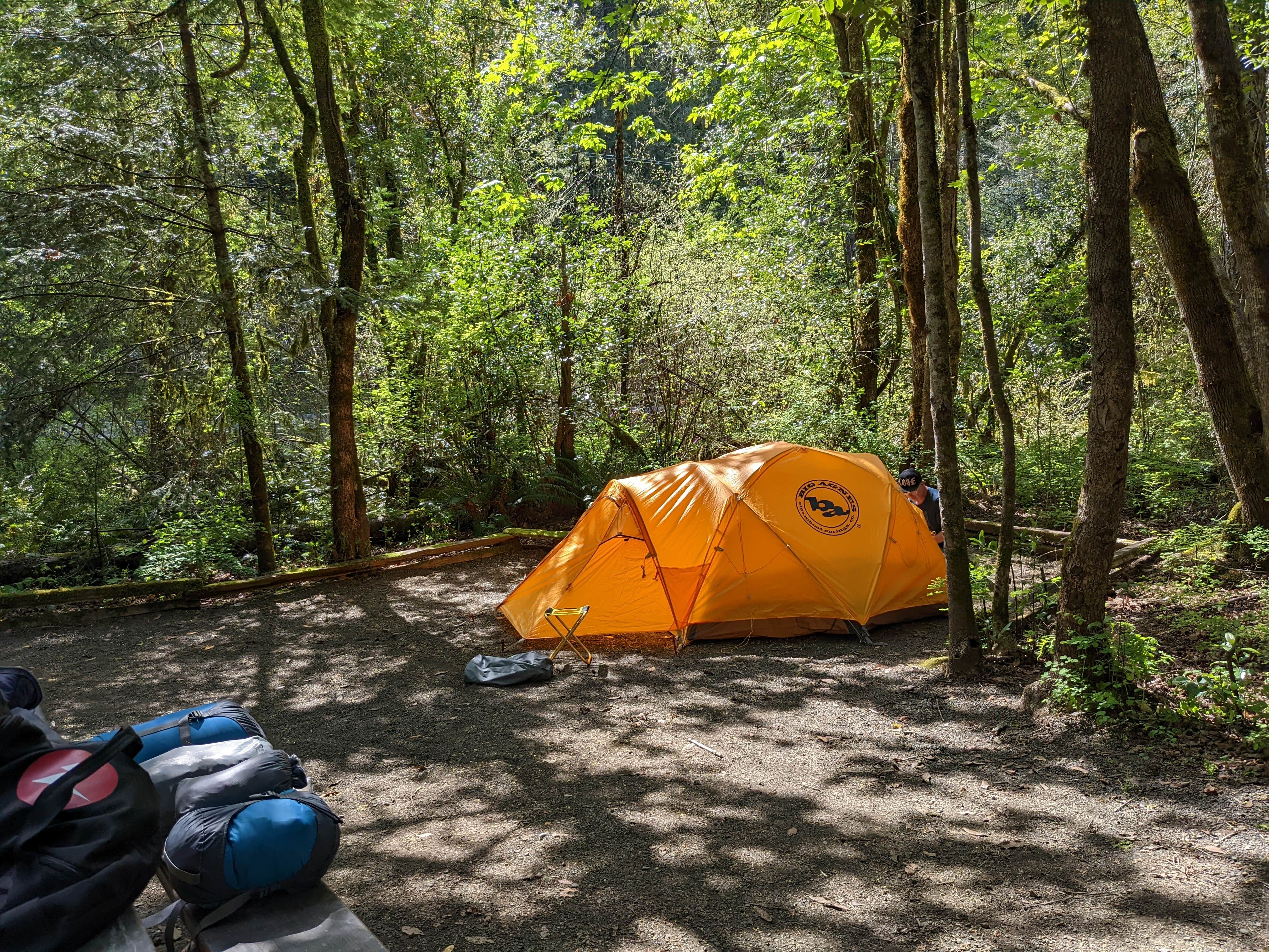 Becbecandbunny O.'s photo at Tyee Campground (umpqua River) near Idleyld Park, OR