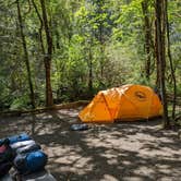 Review photo of Tyee Campground (umpqua River) by Becbecandbunny O., May 8, 2022