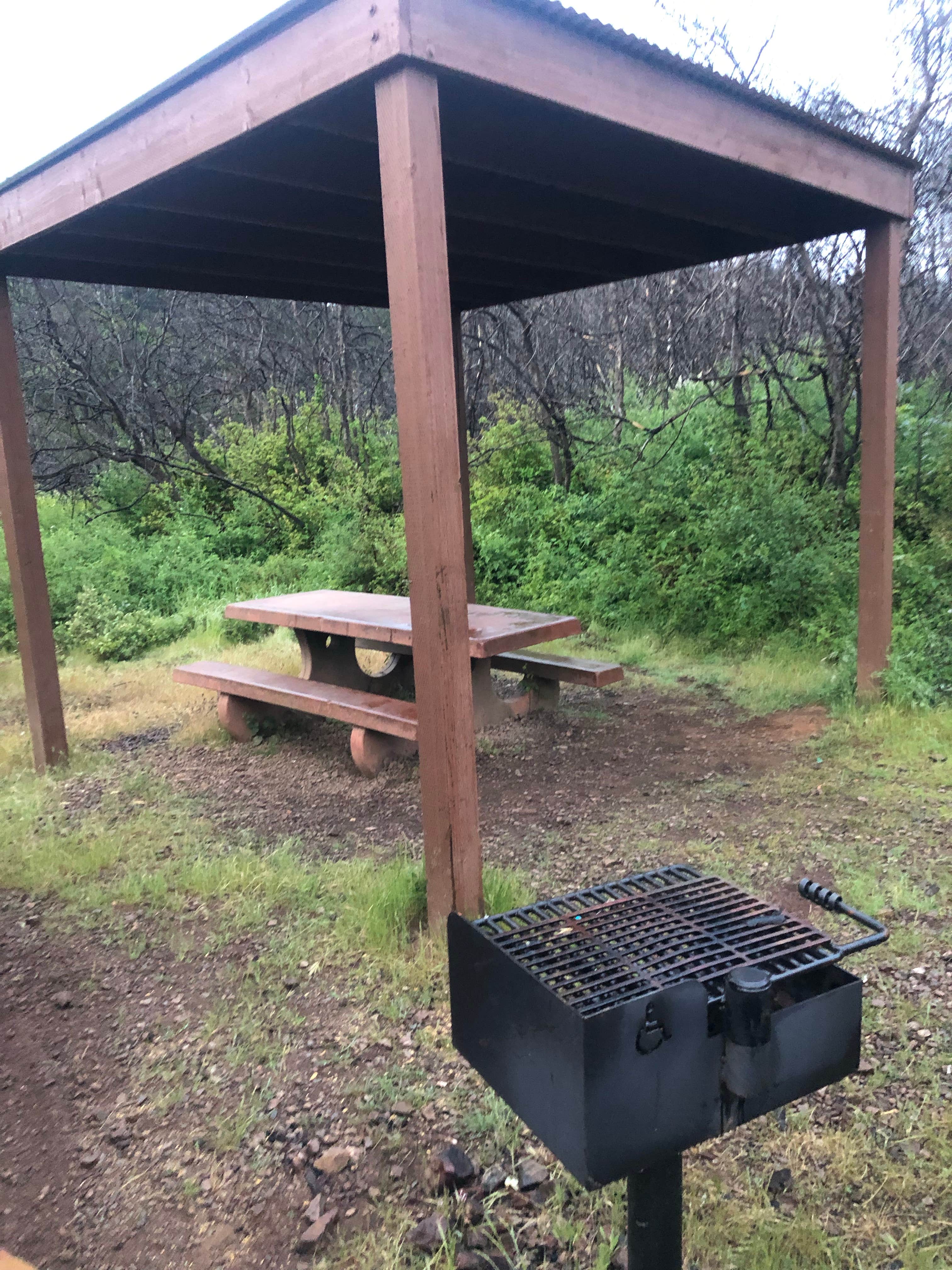 Camper-submitted photo at Red Mountain near Albion, CA