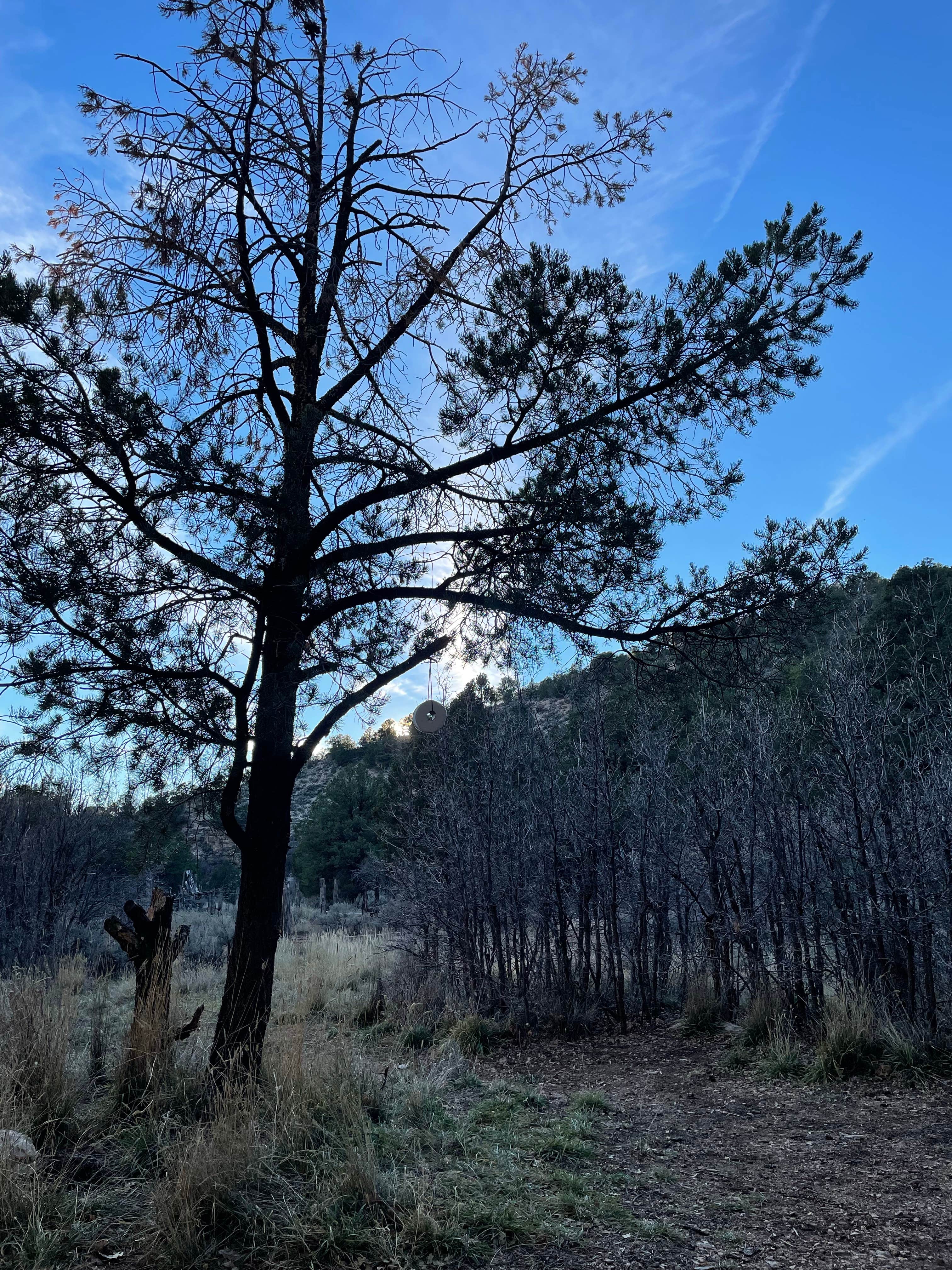 Camper-submitted photo at Indian Hollow Campground near Supai, AZ