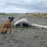 Review photo of Gold Bluffs Beach Campground — Prairie Creek Redwoods State Park by justin , May 8, 2022