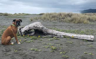 justin's photo of camping with pets at Gold Bluffs Beach Campground — Prairie Creek Redwoods State Park near Redwood National Park