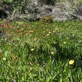 Review photo of Bodega Dunes Campground — Sonoma Coast State Park by justin , May 8, 2022