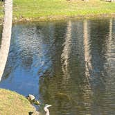 Review photo of Nature's Resort by Nell D., May 8, 2022