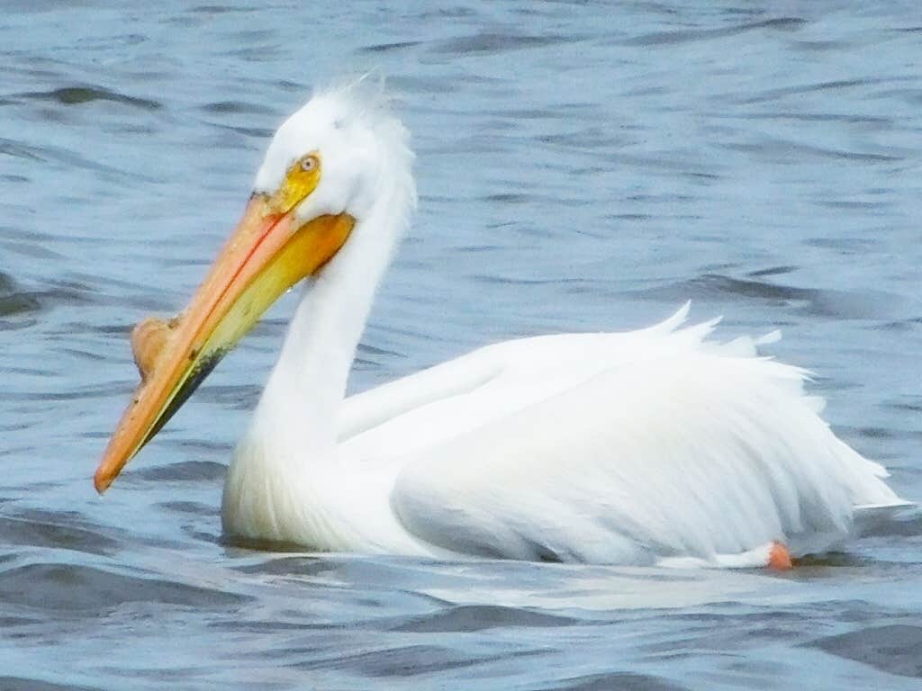 Camper-submitted photo at Kalbus Country Harbor near Malone, WI