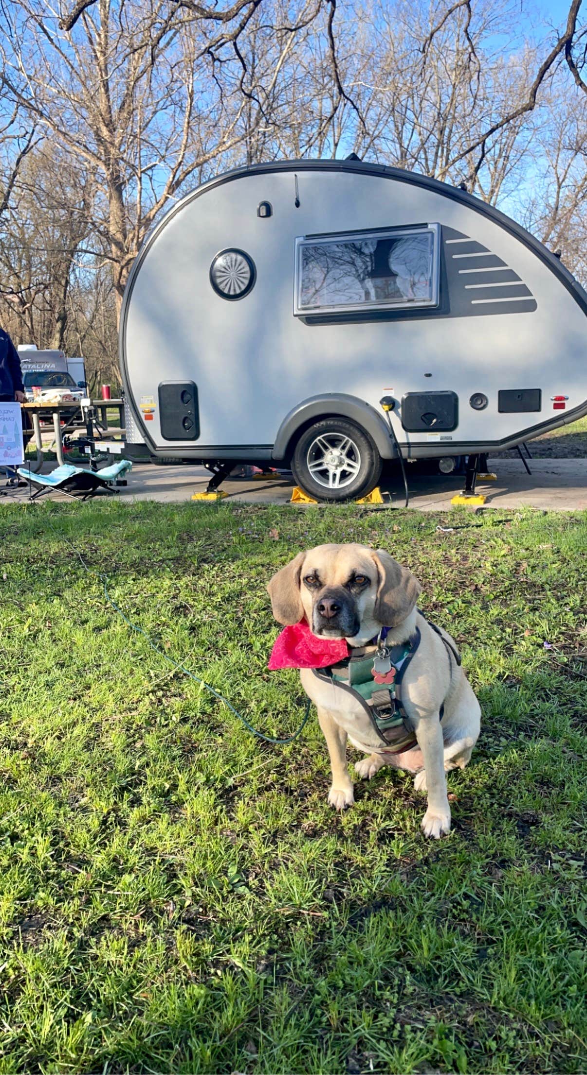Stephanie S.'s photo of camping with pets at Walnut Woods State Park Campground near Ackworth, IA