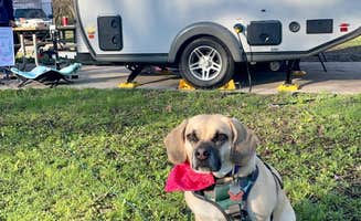 Stephanie S.'s photo of camping with pets at Walnut Woods State Park Campground near Des Moines, IA