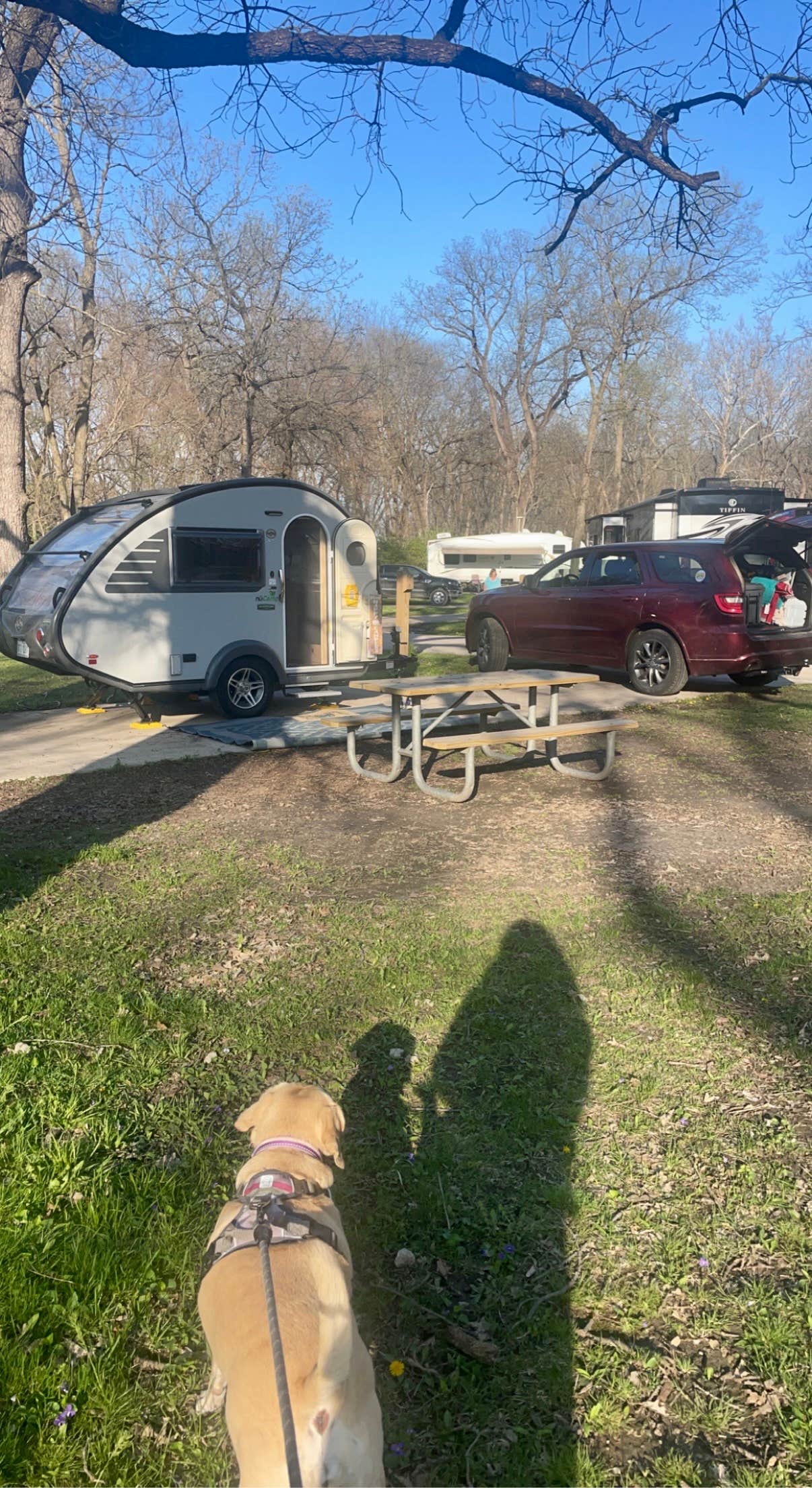 Camper submitted image from Walnut Woods State Park Campground - 1