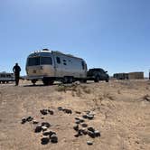 Review photo of Lone Rock Beach Primitive Camping Area — Glen Canyon National Recreation Area by Kristin S., May 8, 2022