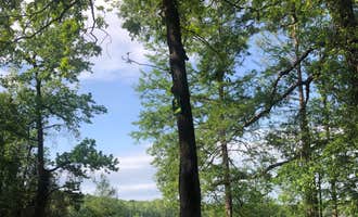Camping near Maumelle Park: Adam's Lake Boat Ramp and Camp, Mayflower, Arkansas