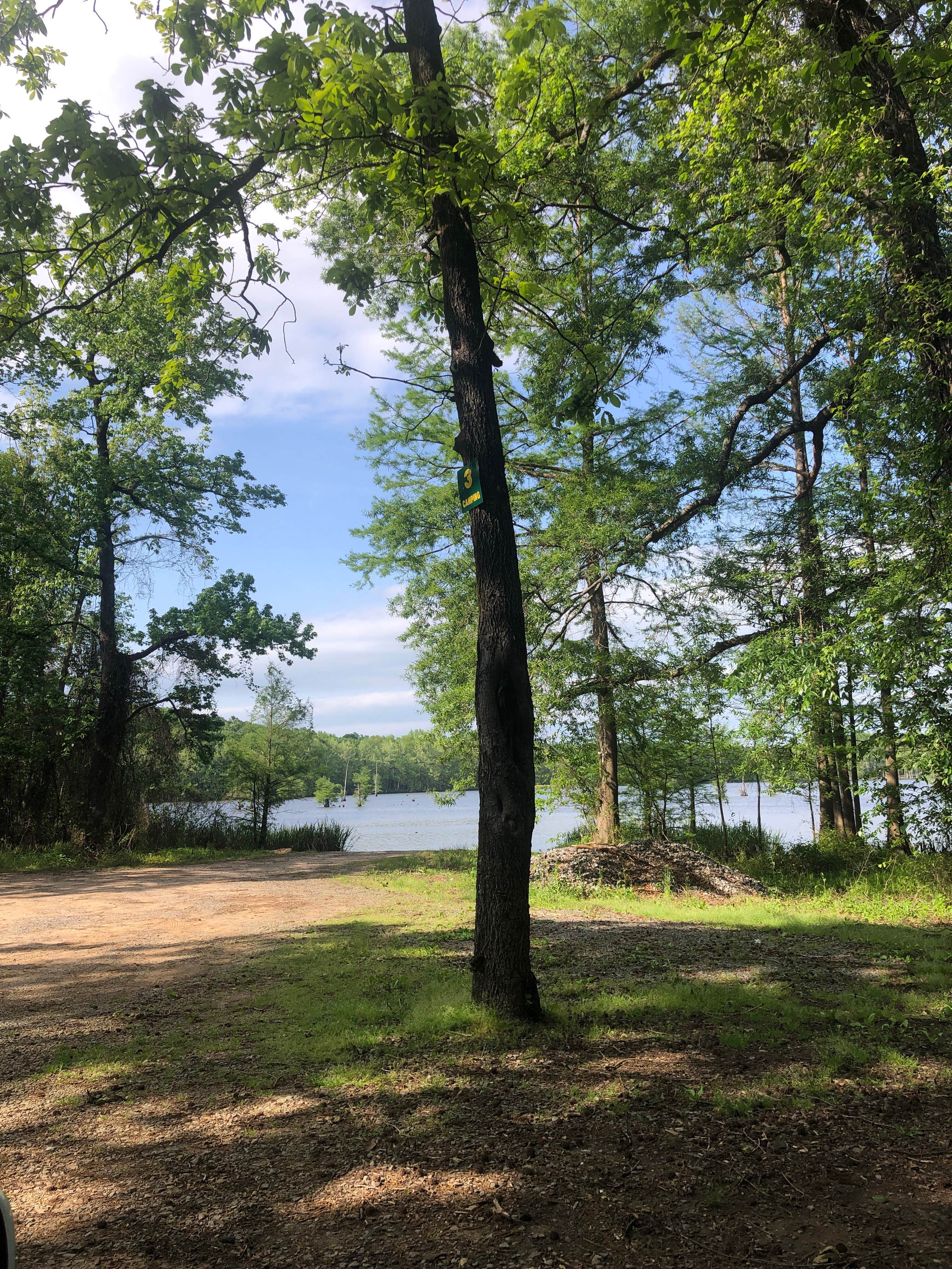 Camper submitted image from Adam's Lake Boat Ramp and Camp - 1