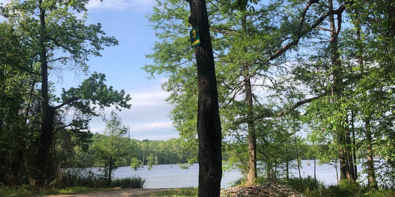 Camper submitted image from Adam's Lake Boat Ramp and Camp