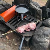 Review photo of Boundary Waters Canoe Area, North Temperance Lake Backcountry Camping Site #905 by justin , May 8, 2022