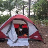 Review photo of Boundary Waters Canoe Area, North Temperance Lake Backcountry Camping Site #905 by justin , May 8, 2022