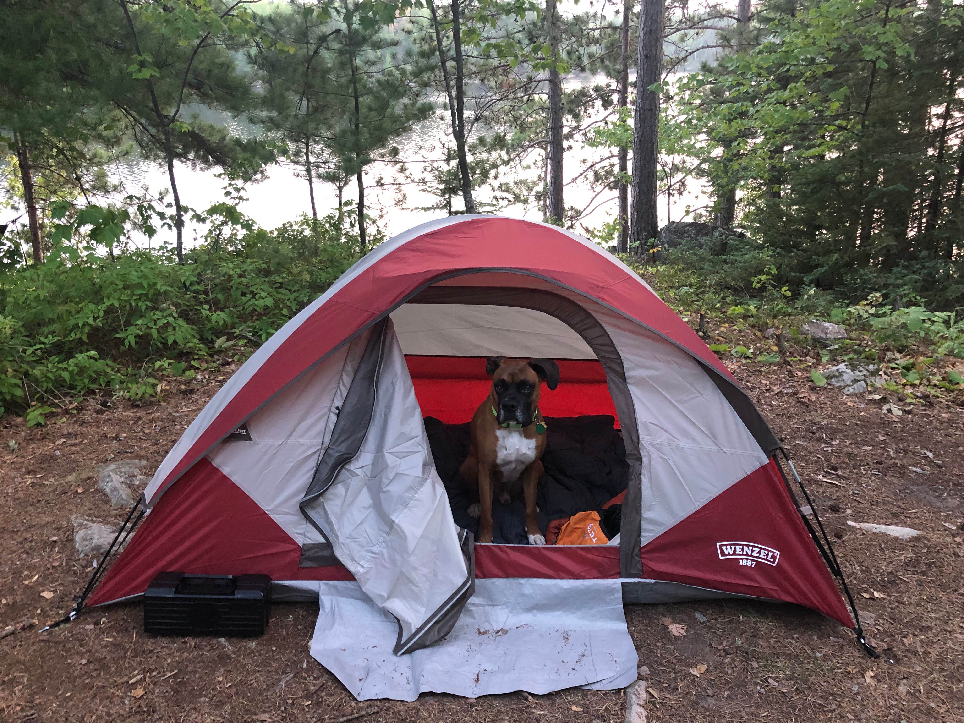 Camper submitted image from Boundary Waters Canoe Area, North Temperance Lake Backcountry Camping Site #905 - 1