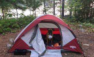 justin's photo of camping with pets at Boundary Waters Canoe Area, North Temperance Lake Backcountry Camping Site #905 near Lutsen, MN