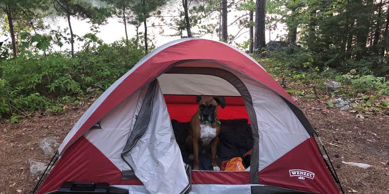 Camper submitted image from Boundary Waters Canoe Area, North Temperance Lake Backcountry Camping Site #905
