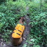 Review photo of Boundary Waters Canoe Area, North Temperance Lake Backcountry Camping Site #905 by justin , May 8, 2022