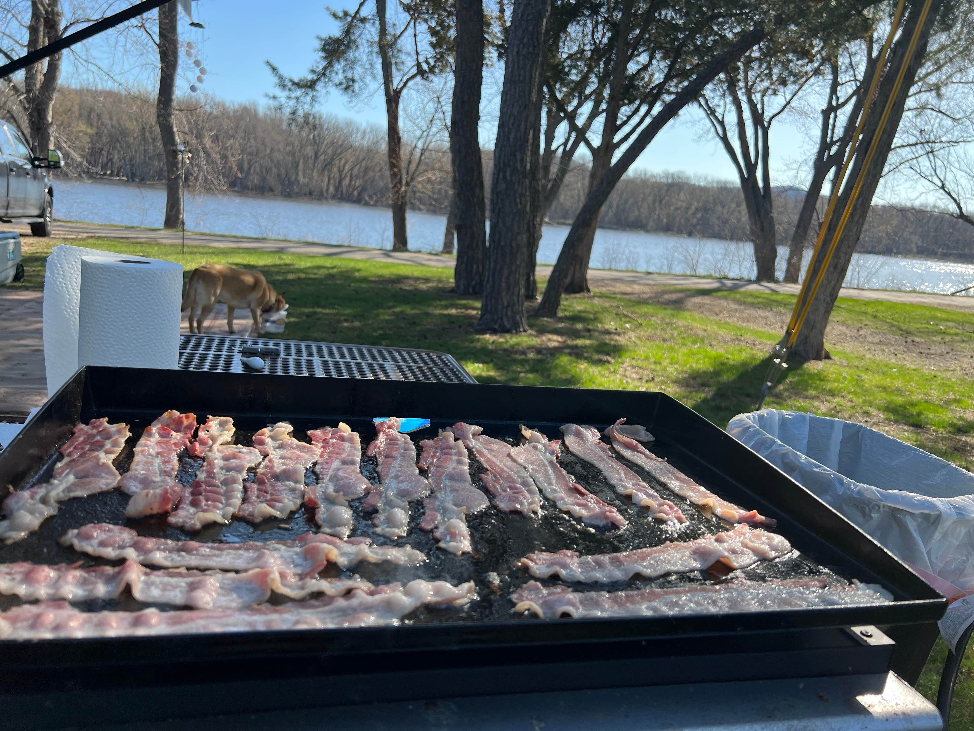 David G.'s photo of camping with pets at Prairie Island City Campground near Kellogg, MN
