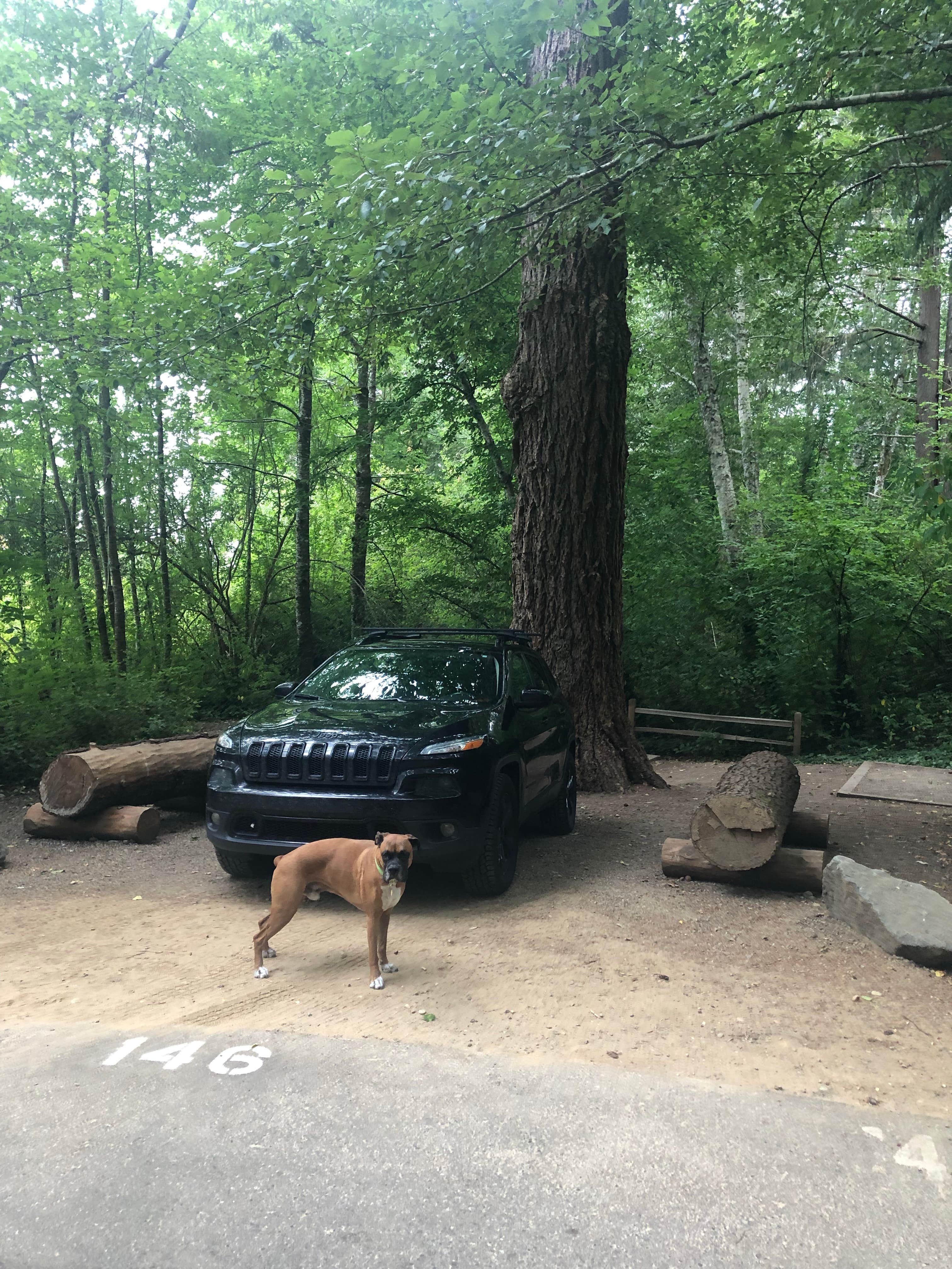 justin's photo of camping with pets at Belfair State Park Campground near Tacoma, WA