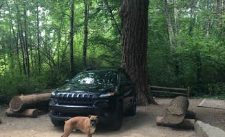 justin's photo of camping with pets at Belfair State Park Campground near Federal Way, WA