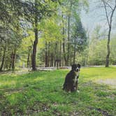 Review photo of Fall Creek Falls State Park Campground by Brian M., May 8, 2022