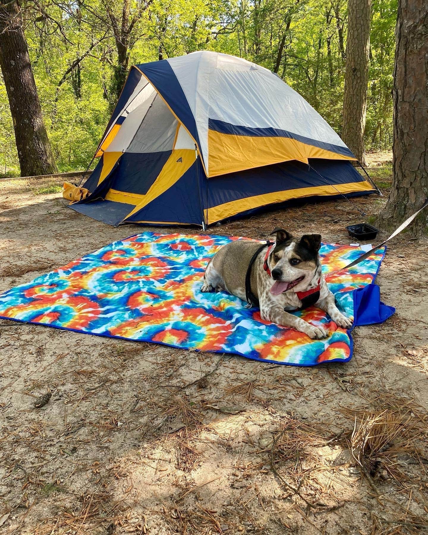 Anthony's photo at Crowley's Ridge State Park Campground in Arkansas