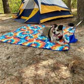 Review photo of Crowley's Ridge State Park Campground by Anthony , May 9, 2022