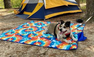 Anthony's photo at Crowley's Ridge State Park Campground in Arkansas