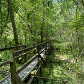 Review photo of Crowley's Ridge State Park Campground by Anthony , May 9, 2022