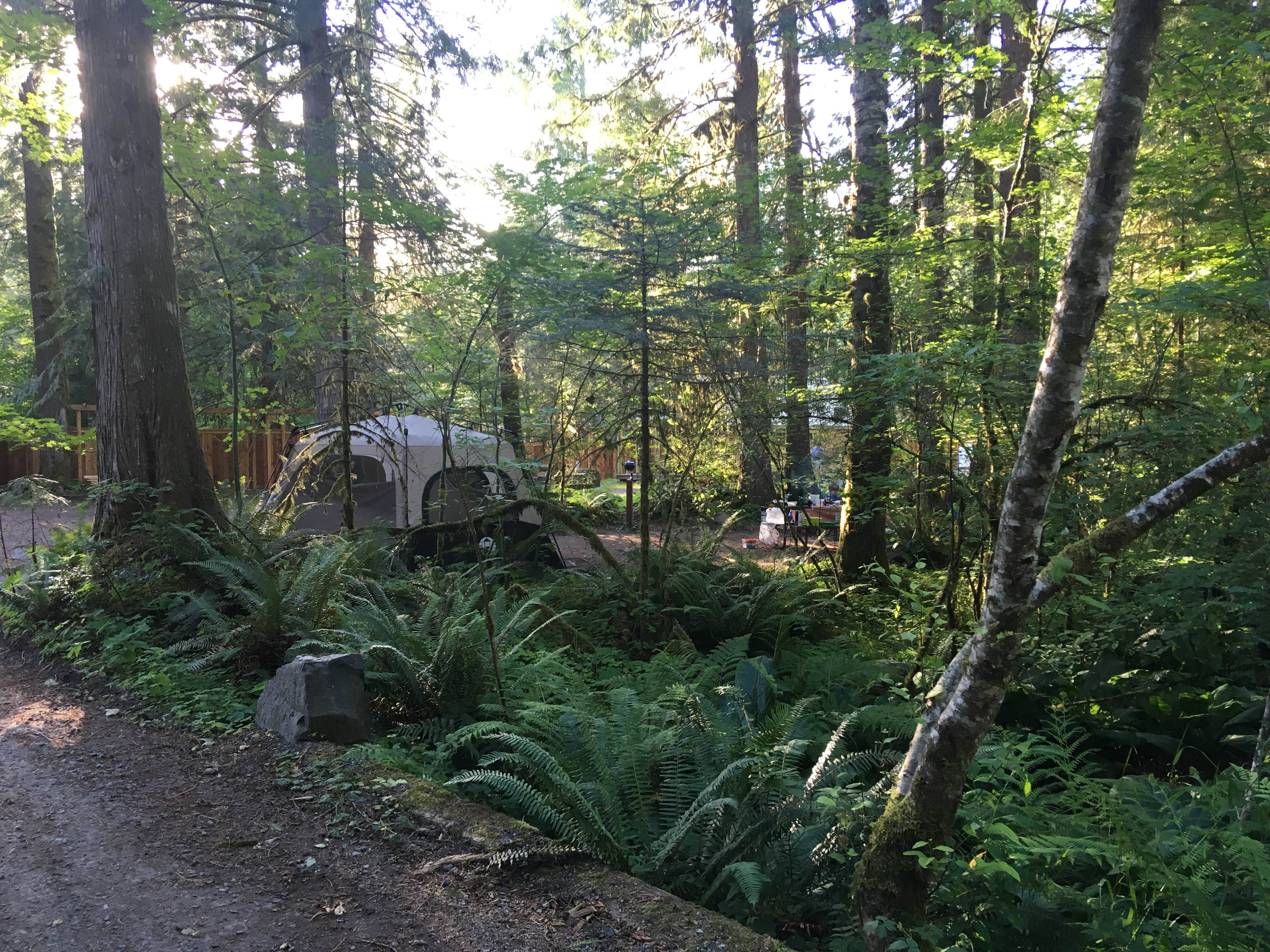 Camper-submitted photo at Mounthaven Resort near White Pass, WA