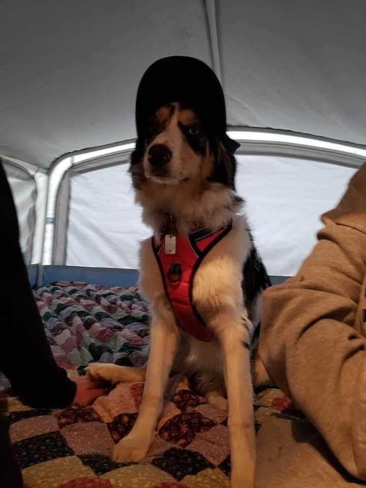 Rachel D.'s photo of glamping accommodations at Crooked Run Campground — Prince Gallitzin State Park near Lemont, PA