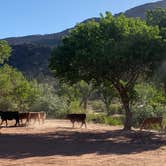 Review photo of North Creek Dispersed Camping by Clare R., May 9, 2022