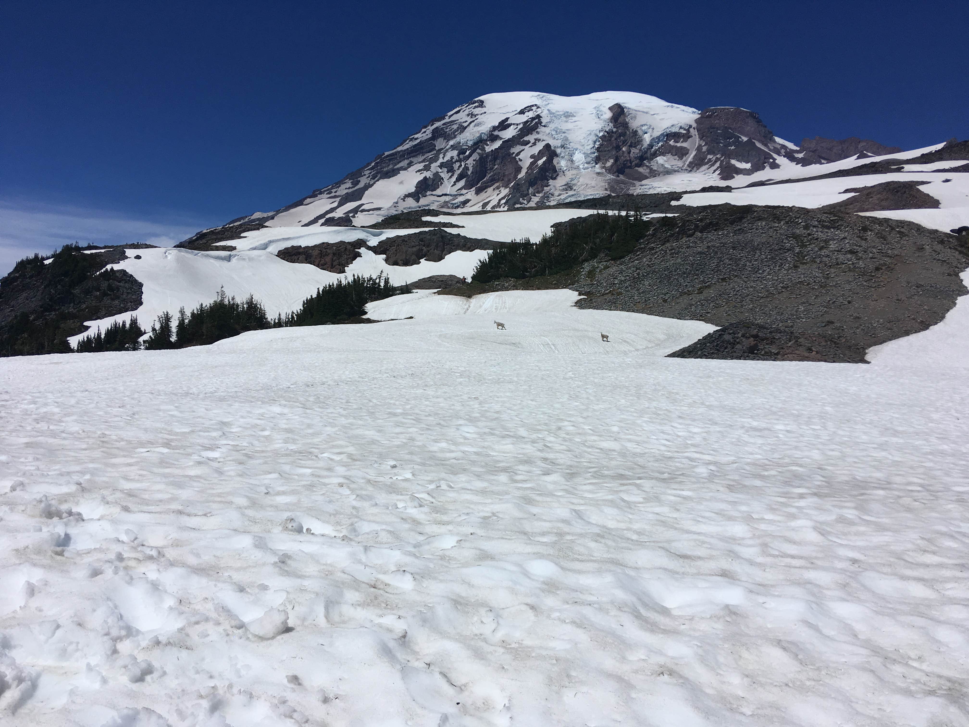Camper-submitted photo at Mounthaven Resort near White Pass, WA