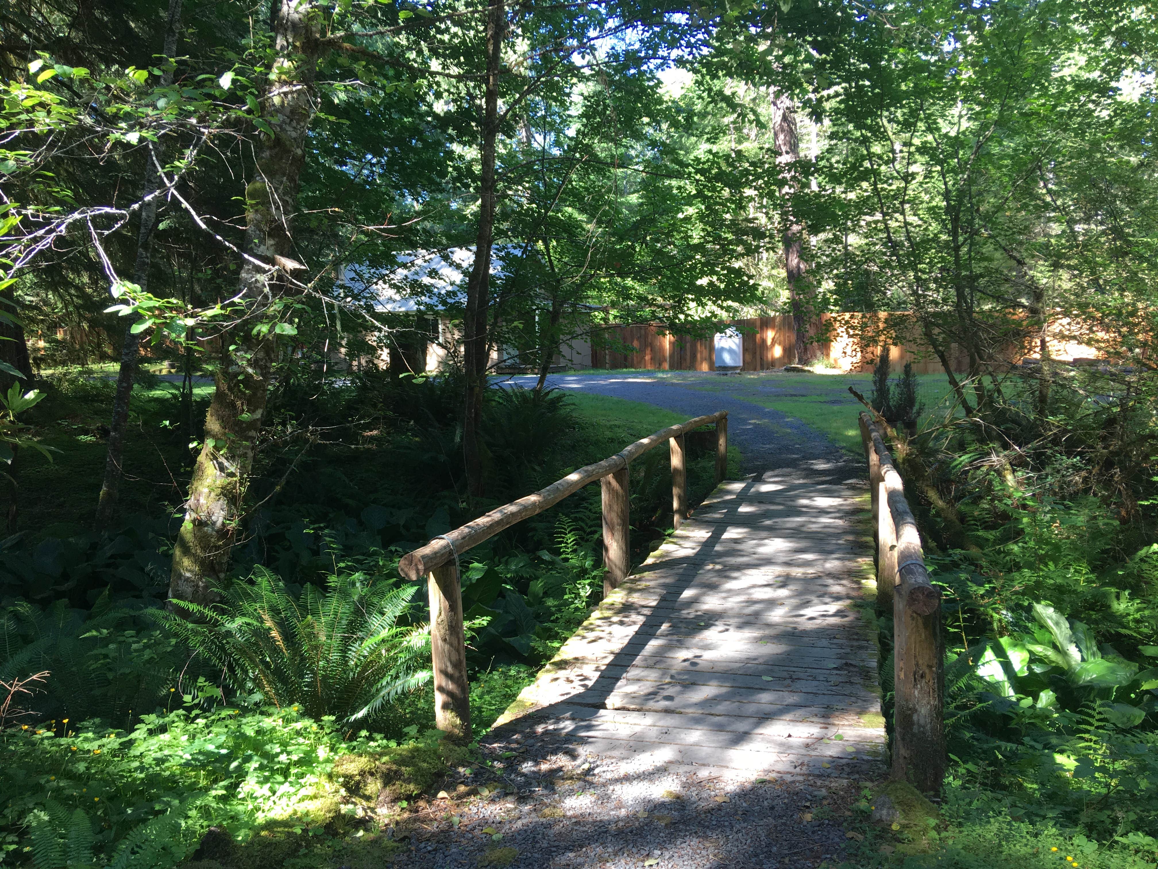 Camper-submitted photo at Mounthaven Resort near Ashford, WA