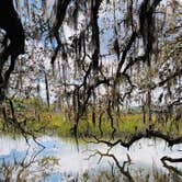 Review photo of Skidaway Island State Park Campground by Bettie C., May 9, 2022