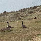 Review photo of Acorn Campground by Lee D., May 9, 2022
