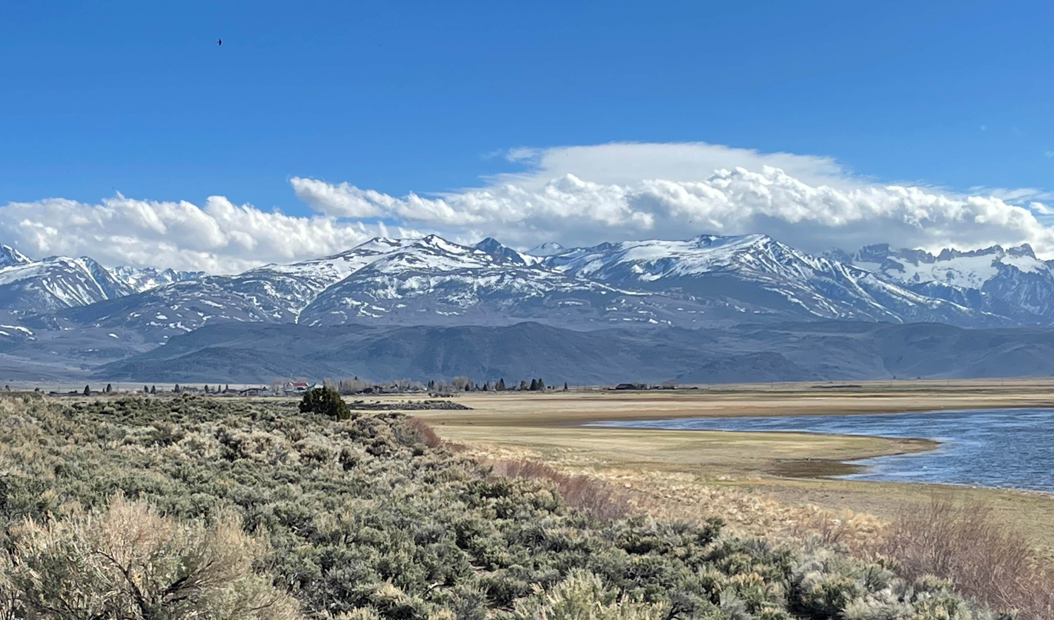 Rental Fleet — Bridgeport Reservoir Marina & Campground